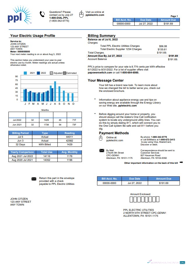 download download USA Philadelphia PPL utility bill template in Word and PDF format PDF template PDF template